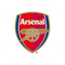 Arsenal Fan Token (AFC)